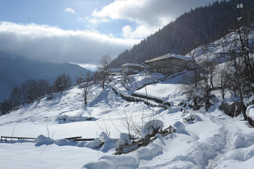Guest House Murkvam Tvebishi Dış mekan fotoğraf